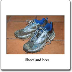 Shoes with bees